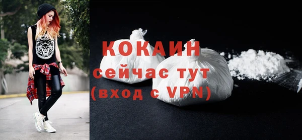 бошки Белокуриха