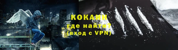 бошки Белокуриха