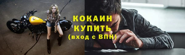 бошки Белокуриха