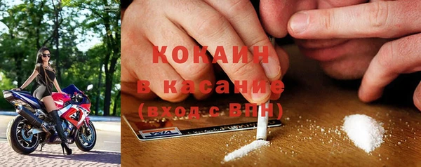 бошки Белокуриха