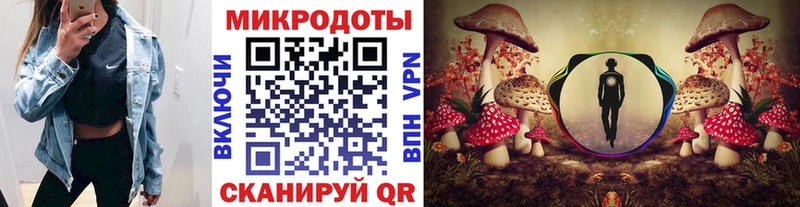 наркотики  Гремячинск  darknet формула  Псилоцибиновые грибы прущие грибы 